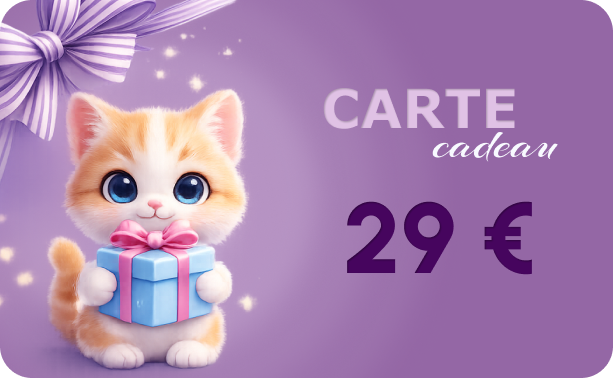 Carte cadeau 29 euros