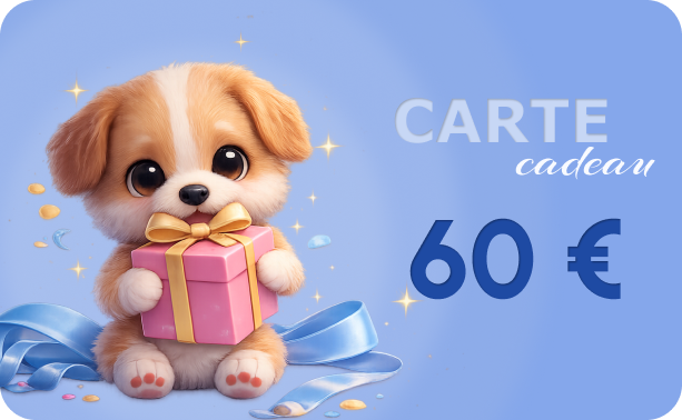 Carte cadeau 60 euros